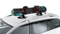 FABBRI Magnetic Ski Rack Ellisse Ski & Board