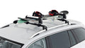 FABBRI Aluski & Board New Roof Ski Rack